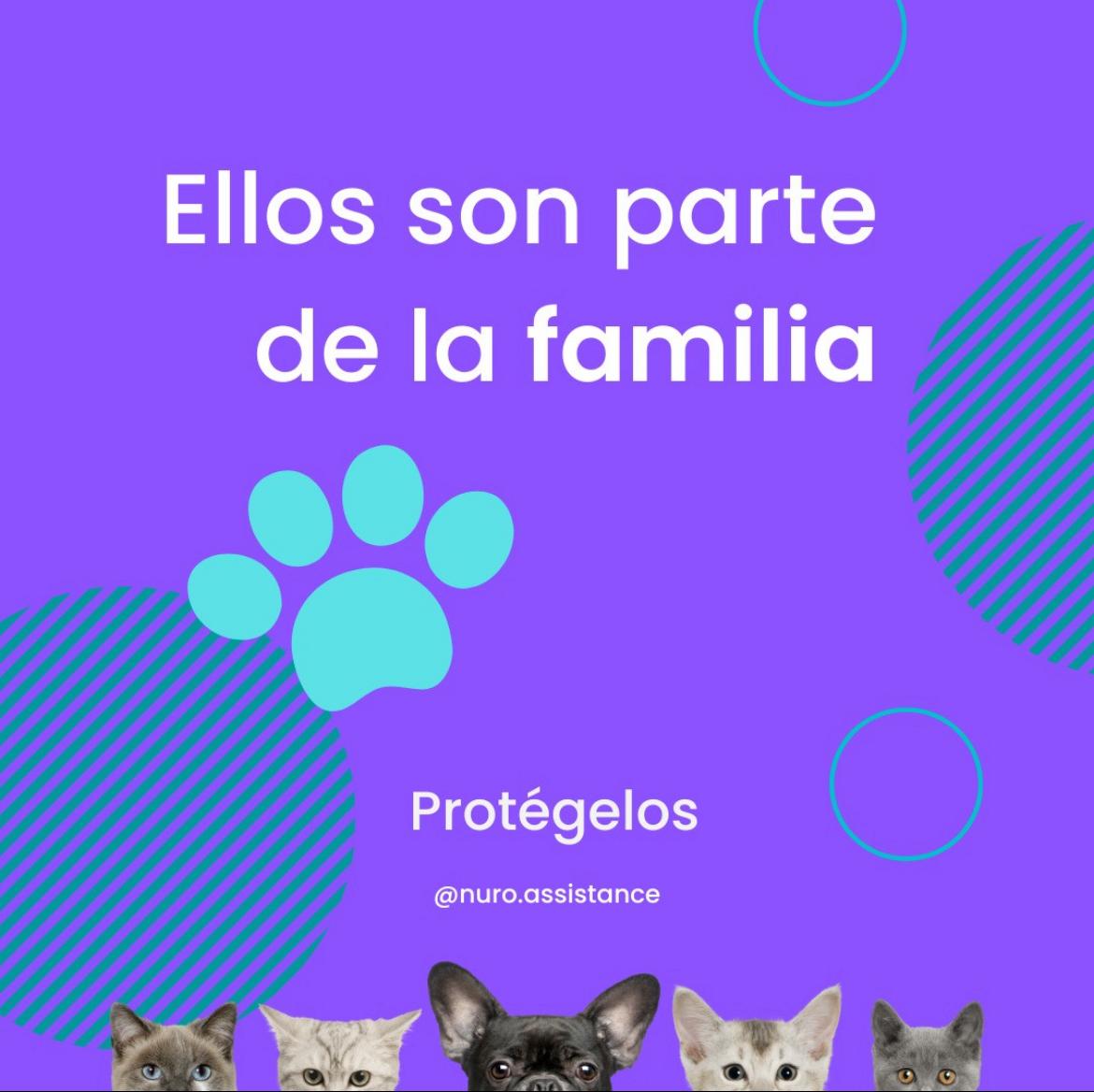 Descripci¨®n de la imagen